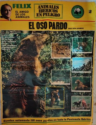 5 Posters Félix Rodríguez de la Fuente ADENA