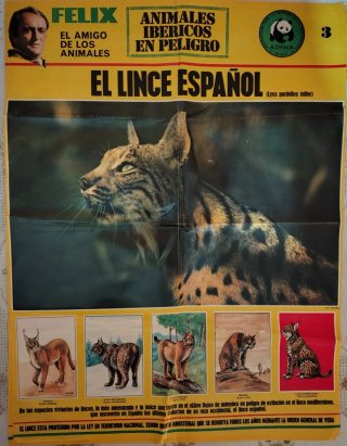 5 Posters Félix Rodríguez de la Fuente ADENA