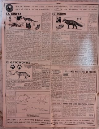 5 Posters Félix Rodríguez de la Fuente ADENA