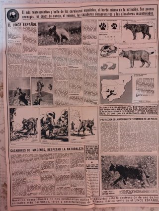 5 Posters Félix Rodríguez de la Fuente ADENA