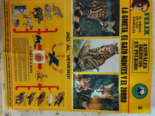 5 Posters Félix Rodríguez de la Fuente ADENA