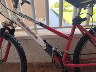 Bicicleta
