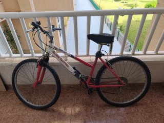 Bicicleta