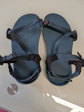 Sandalias Xero Z-Trail EV Talla 36.5