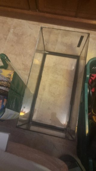 Pecera mediana de cristal