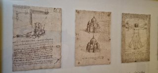 Cuadro Marco Negro Dibujos Antiguos
