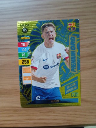 Lote Cartas Panini LaLiga Especiales