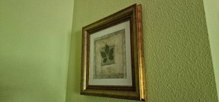 Cuadro decorativo hoja madera