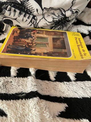 Antologia de la poesia romantica PedroJ De La Peña