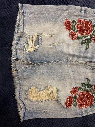 Saia Zara Ganga Denim Bordada Rosas