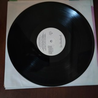 LP 1991 SALSA Vinilo Dominican Band muy buen estad