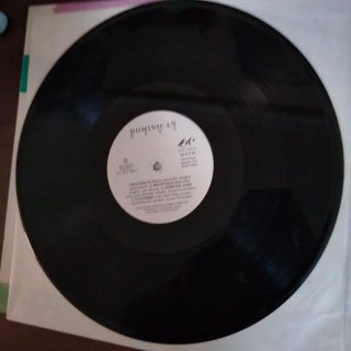 LP 1991 SALSA Vinilo Dominican Band muy buen estad