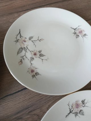 Set 5 Piatti Piani Bavaria Fiori Rosa