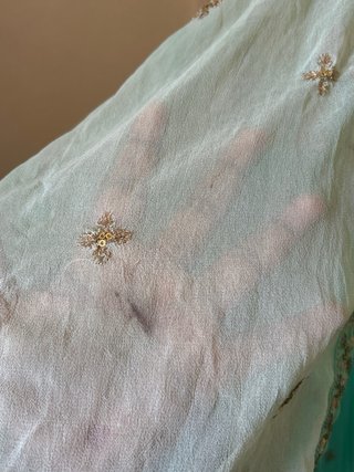 Gown indiano elegante verde menta ricamato XL