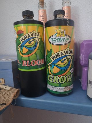 Fertilizzanti Pura Vida Bloom e Grow