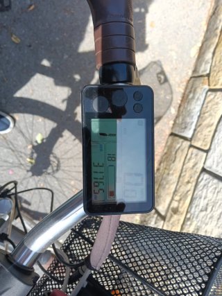 Bici Eléctrica Paseo Elops 900 E Decathlon