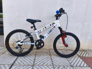 Bicicleta 20 pulgadas personalizada con 6V Shimano