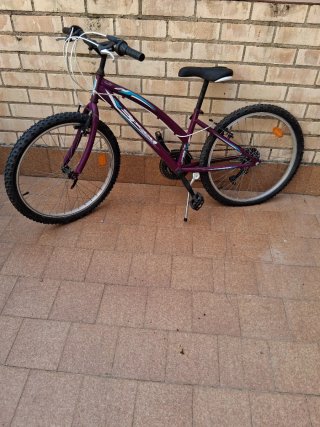 Bicicleta de Montaña Morada