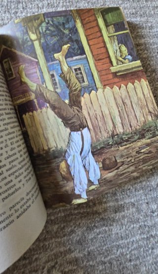 Robinson Crusoe y Las Aventuras de Tom Sawyer