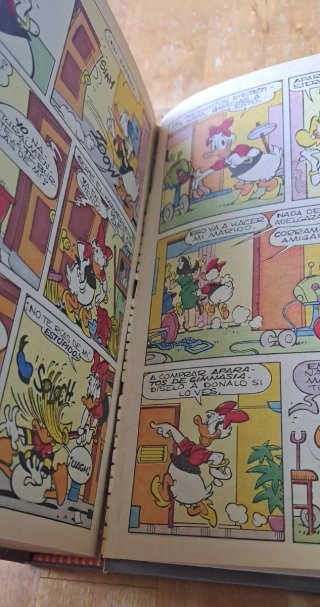 Libro pequeño Walt disney