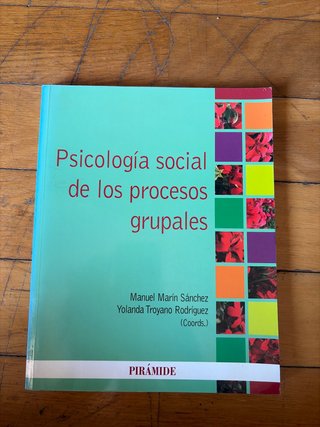 Psicología social de los procesos grupales