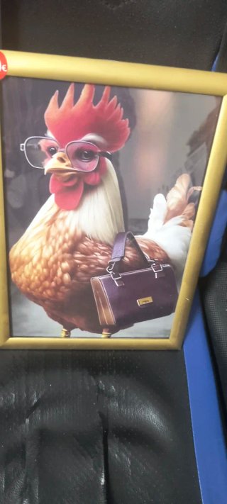 Pack 2 Cuadros Gallina con Gafas y Huevos