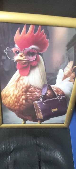 Pack 2 Cuadros Gallina con Gafas y Huevos