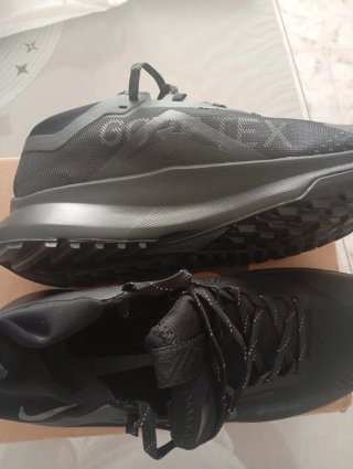 Nike Pegasus Trail 4 Gore-Tex Negro