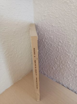 La novela de un niño