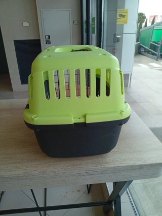 Jaula para perros y gatos