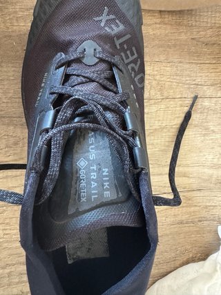 Nike Pegasus Trail 3 GTX Negro