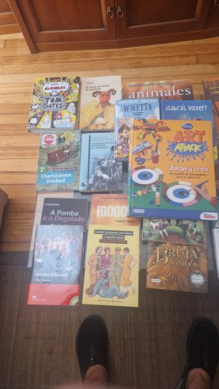 Diferentes tipos de libros variados.