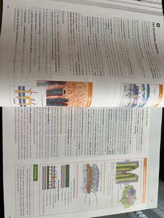 Biología 2 bachillerato, Operación Mundo