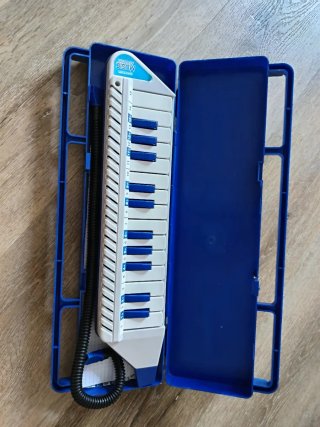 Bontempi Diamonica MP 426.2