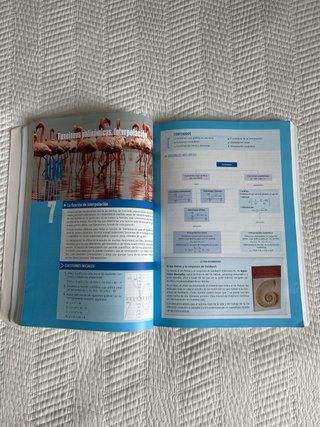 Matemáticas aplicadas a las Ciencias Sociales I...
