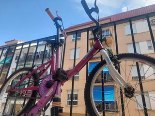Bicicleta infantil y patinete morado