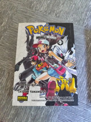 Libro Pokémon