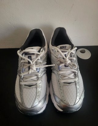 Zapatillas Nike Plata y Blanco