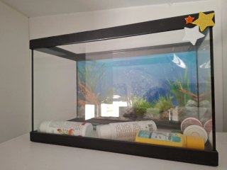 Pecera con fondo decorativo