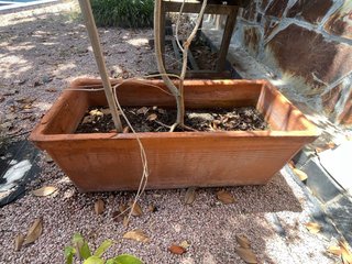 Lote 3 Jardineras grandes solo venta en person