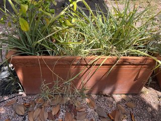 Lote 3 Jardineras grandes solo venta en person