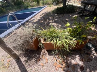 Lote 3 Jardineras grandes solo venta en person