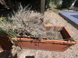 Lote 3 Jardineras grandes solo venta en person