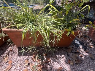 Lote 3 Jardineras grandes solo venta en person