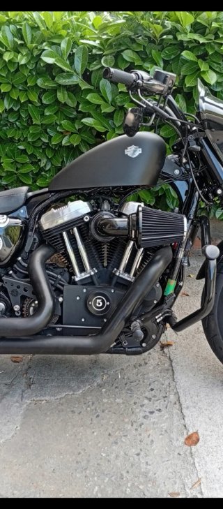 Harley Davidson 1200 Forty-Eight  2015 ABS Alarma
