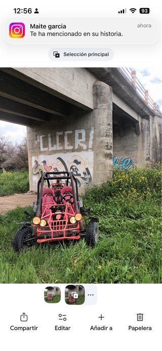 Buggy Gsmoon 260cc matriculado