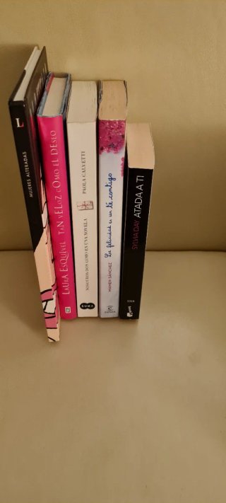 Lote 5 Libros Narrativa Femenina y Romance