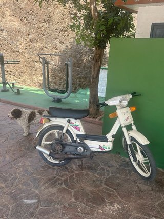 Vespino NLX Blanca