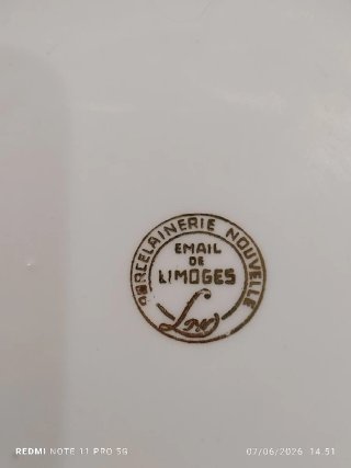 LIMOGES Vajilla Vintage Flores Porcelana