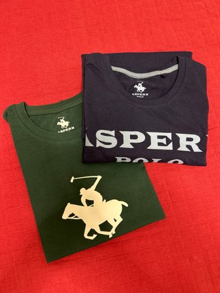 Camiseta ASPERN POLO azul y verde